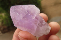 Natural Jacaranda Amethyst Crystals x 35 From Zambia