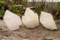 Natural Castle Quartz Crystals  x 6 From Madagascar