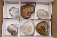 Polished Agate Hearts x 6 From Madagascar