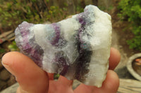 Natural Rough Watermelon Fluorite Cobbed Specimens  x 12 From Uis, Namibia