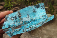 Natural Extra Large Drusy Chrysocolla Dolomite Specimens x 2 From Congo