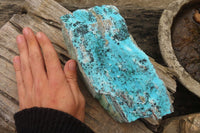 Natural Extra Large Drusy Chrysocolla Dolomite Specimens x 2 From Congo