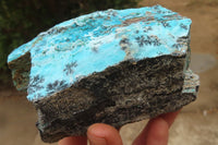 Natural Extra Large Drusy Chrysocolla Dolomite Specimens x 2 From Congo