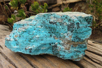 Natural Extra Large Drusy Chrysocolla Dolomite Specimens x 2 From Congo