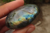 Polished Labradorite Galets  x 20 From Madagascar