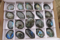 Polished Labradorite Galets  x 20 From Madagascar