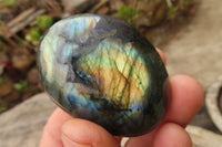 Polished Labradorite Galets  x 20 From Madagascar