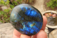 Polished Labradorite Galets  x 20 From Madagascar