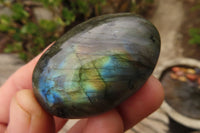 Polished Labradorite Galets  x 20 From Madagascar