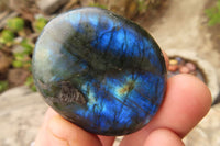 Polished Labradorite Galets  x 20 From Madagascar