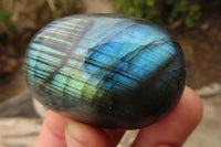 Polished Labradorite Galets  x 20 From Madagascar