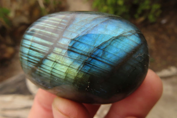 Polished Labradorite Galets  x 20 From Madagascar