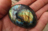 Polished Labradorite Galets  x 20 From Madagascar