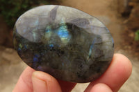 Polished Labradorite Galets  x 20 From Madagascar