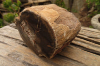 Polished Petrified Wood Branch Pieces  x 4 From Gokwe, Zimbabwe