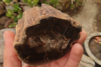 Polished Petrified Wood Branch Pieces  x 4 From Gokwe, Zimbabwe