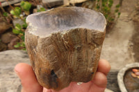 Polished Petrified Wood Branch Pieces  x 4 From Gokwe, Zimbabwe