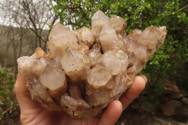 Natural Smokey Quartz Cluster x 1 From Congo