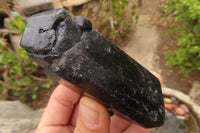 Natural Schorl Alluvial Black Tourmaline Specimens  x 6 From Zimbabwe