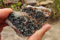 Natural Rare Libethenite Crystals On Dolomite Matrix Specimens x 2 From Congo