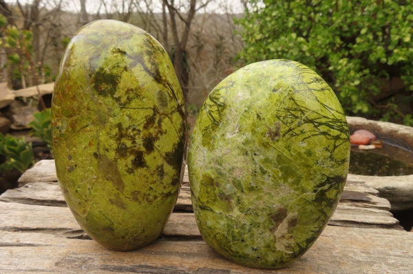 Polished Green Opal Standing Free Forms  x 2 From Madagascar