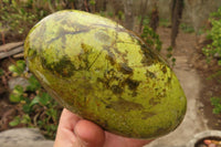 Polished Green Opal Standing Free Forms  x 2 From Madagascar