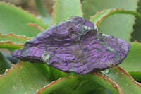 Natural Metallic Purpurite Cobbed Specimens  x 6 From Namibia