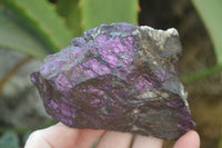 Natural Metallic Purpurite Cobbed Specimens  x 6 From Namibia