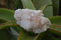 Natural Spirit Quartz Specimens  x 3 From South Africa