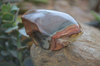 Polished One Side Polished Polychrome Jasper Nodules  x 6 From Madagascar