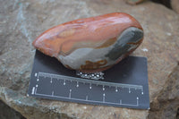 Polished One Side Polished Polychrome Jasper Nodules  x 6 From Madagascar