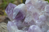 Natural Jacaranda Amethyst Cluster x 1 From Zambia