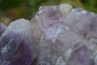 Natural Jacaranda Amethyst Cluster x 1 From Zambia