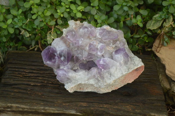 Natural Jacaranda Amethyst Cluster x 1 From Zambia