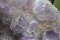 Natural Jacaranda Amethyst Cluster x 1 From Zambia