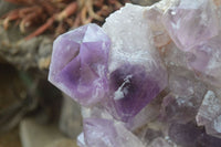 Natural Jacaranda Amethyst Cluster x 1 From Zambia