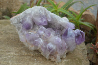 Natural Jacaranda Amethyst Cluster x 1 From Zambia