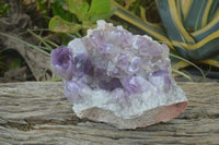 Natural Jacaranda Amethyst Cluster x 1 From Zambia