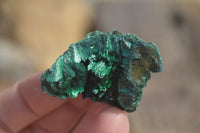 Natural Chatoyant Silky Malachite Specimens  x 20 From Congo