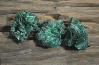 Natural Chatoyant Silky Malachite Specimens  x 20 From Congo