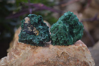 Natural Chatoyant Silky Malachite Specimens  x 20 From Congo