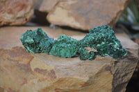 Natural Chatoyant Silky Malachite Specimens  x 20 From Congo