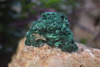 Natural Chatoyant Silky Malachite Specimens  x 20 From Congo