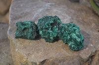 Natural Chatoyant Silky Malachite Specimens  x 20 From Congo