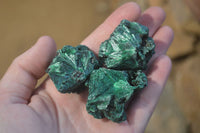 Natural Chatoyant Silky Malachite Specimens  x 20 From Congo