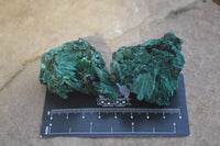 Natural Chatoyant Silky Malachite Specimens  x 20 From Congo