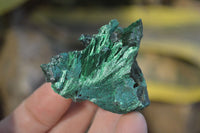 Natural Chatoyant Silky Malachite Specimens  x 20 From Congo