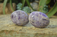 Polished Dream Amethyst Galet / Palm Stones x 12 From Madagascar