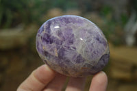 Polished Dream Amethyst Galet / Palm Stones x 12 From Madagascar