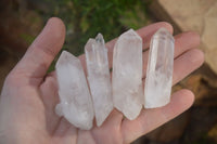 Natural Clear Quartz Crystals  x 35 From Madagascar